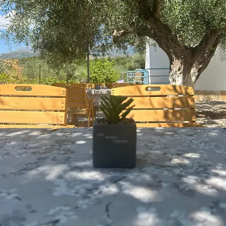 Sophia * Himare